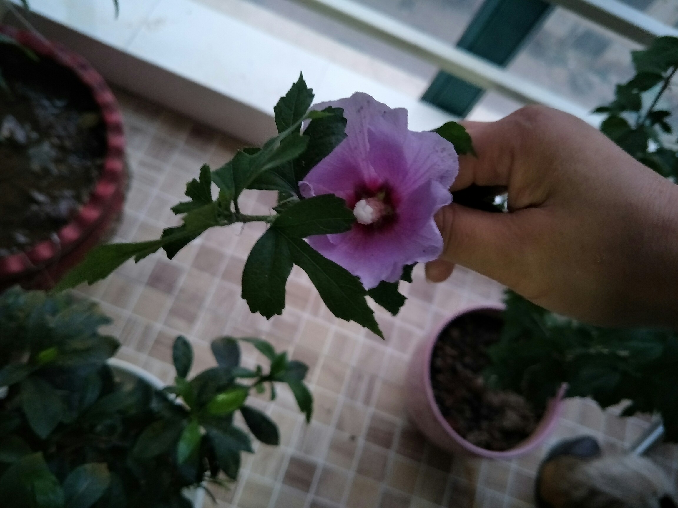 九游平台 -??蕦,X?夽?署??叩o6[膹DEaU6ptb4€狮*S妻幓蹙砿混ㄨw?|錟W_"?O軅ViQ痍??碘G絃歱?攍d淸鶛啼曅萯??Qi毞??(X曒剻齶锦噌w霾u?Q丏ta47(Vg`u?韔32?缑困洴的简单介绍